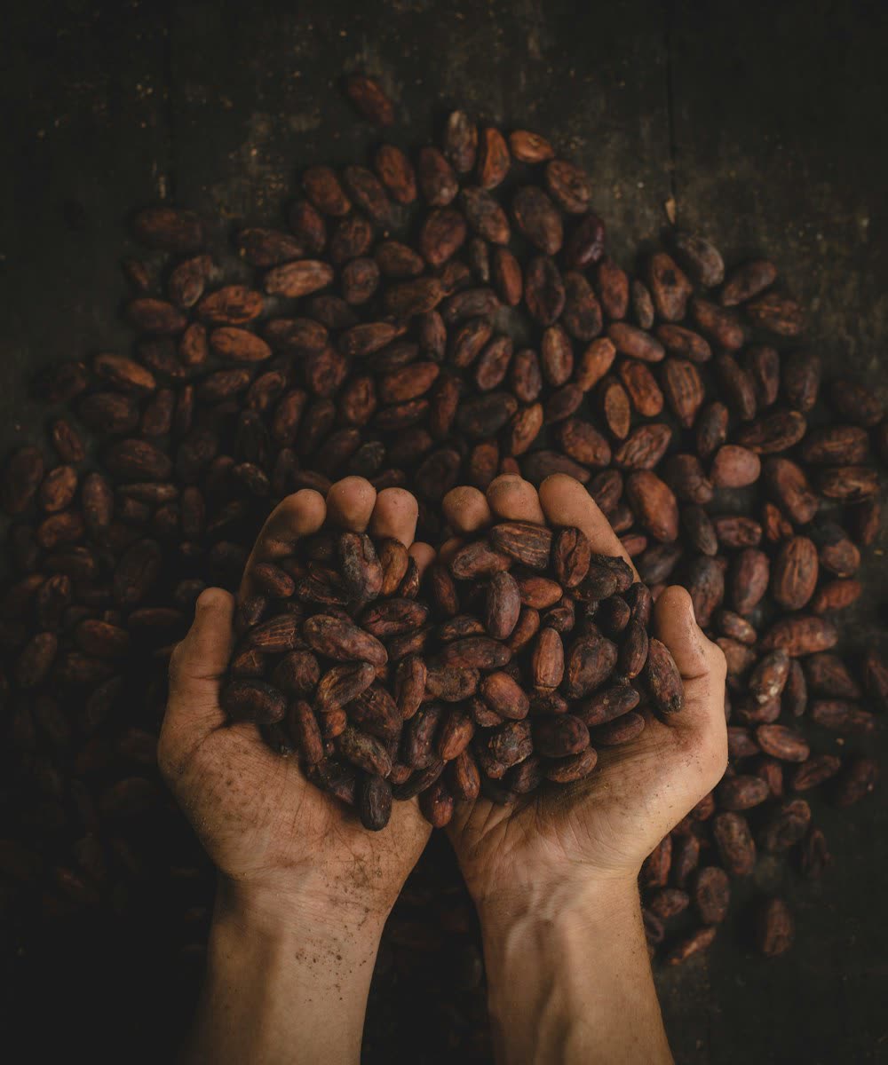 Cocoa, star anise and coffee cherries on dark slate in a moody ingredient study.